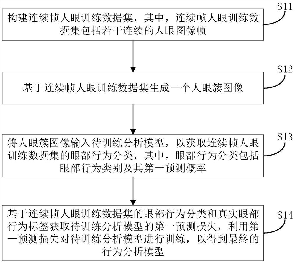 Behavior analysis model training method, behavior analysis method and device