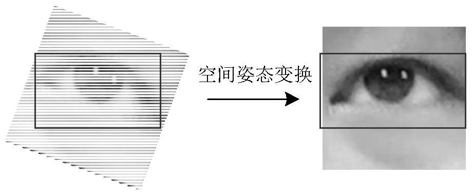 Behavior analysis model training method, behavior analysis method and device