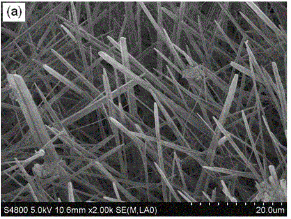 A kind of ha micronano whisker reinforced calcium phosphate ceramic material and its preparation method and application