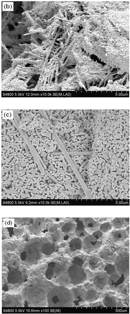 A kind of ha micronano whisker reinforced calcium phosphate ceramic material and its preparation method and application