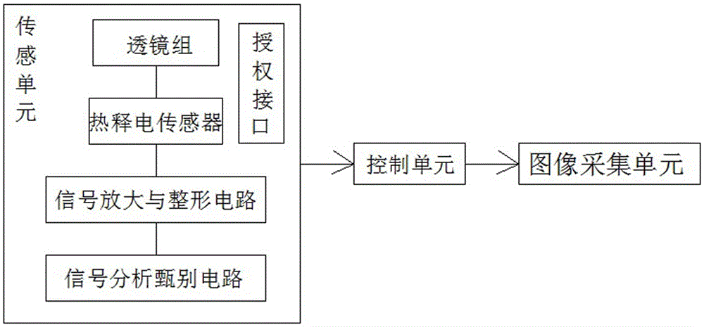 Probe for mouse trace detector