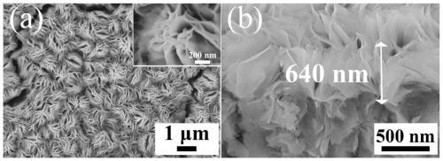 Method for preparing titanium dioxide nanoflower electrode