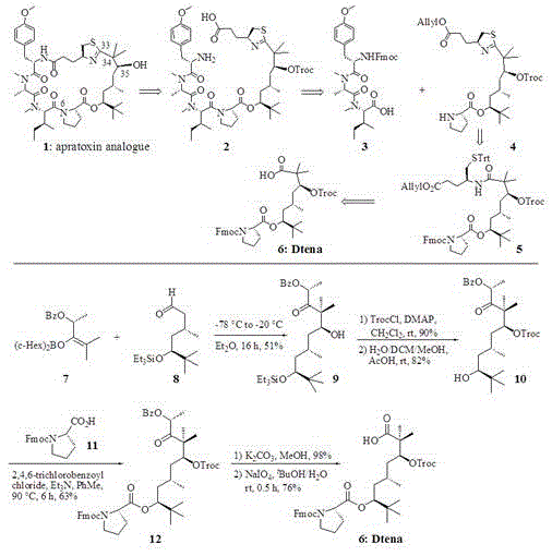 Synthetic method for Dtena modified fragment of apratoxin marine natural product