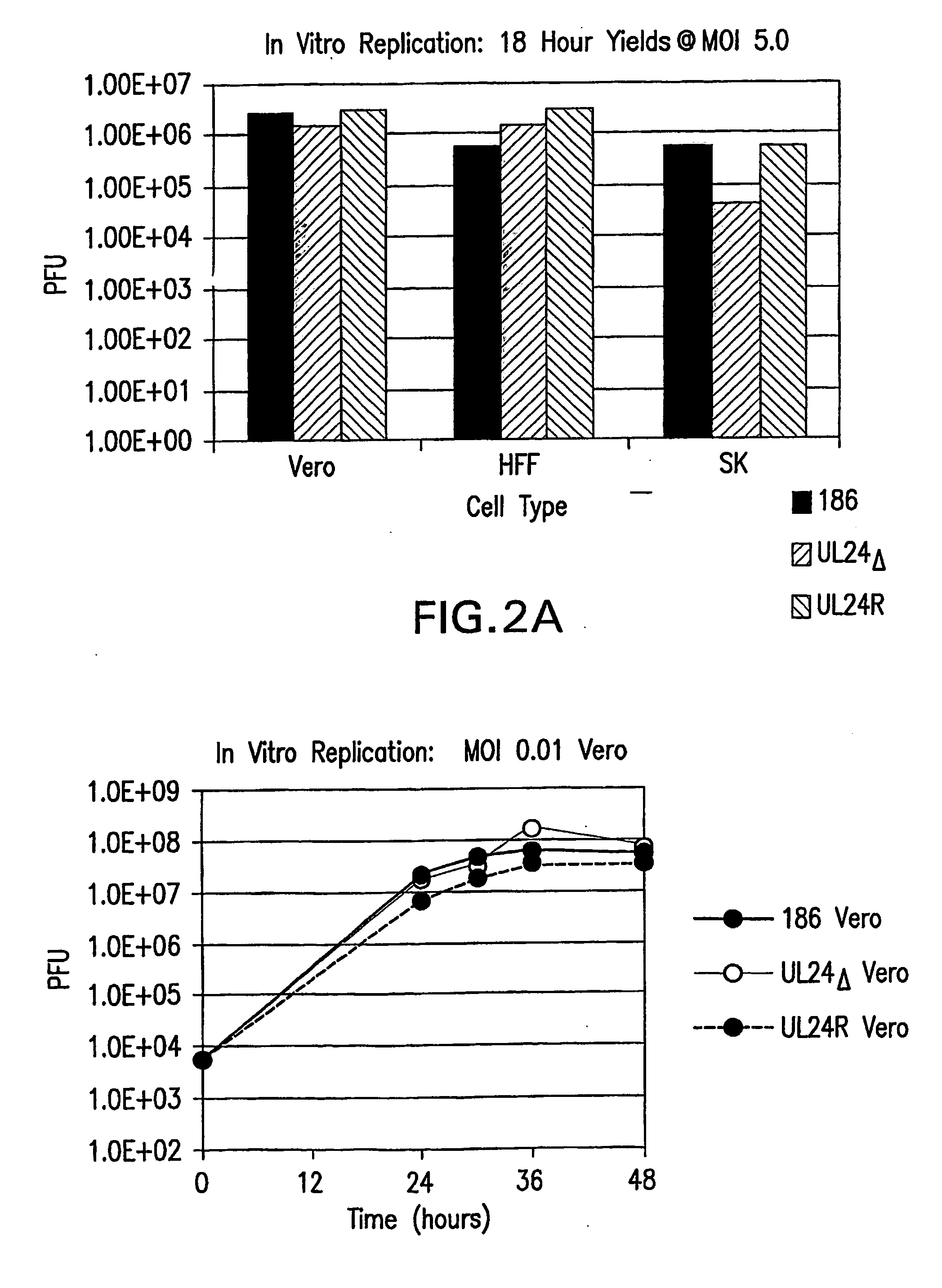 Attenuated Herpes Simplex Virus Type-2, Vectors Thereof and Immunogenic Compositions Thereof