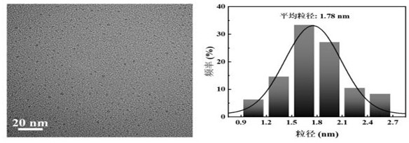 Preparation and application of MXene quantum dot activated one-dimensional TiO2 nano composite photoanode