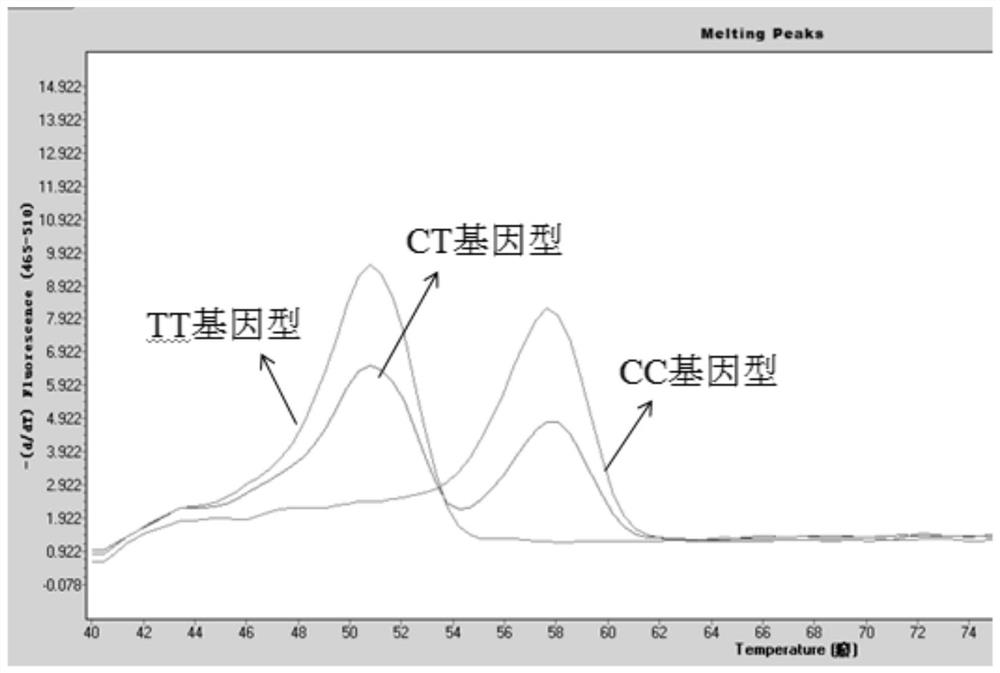 Gene mutation detection kit based on high-resolution melting curve of non-fluorescence labeled probe, detection method and application of gene mutation detection kit