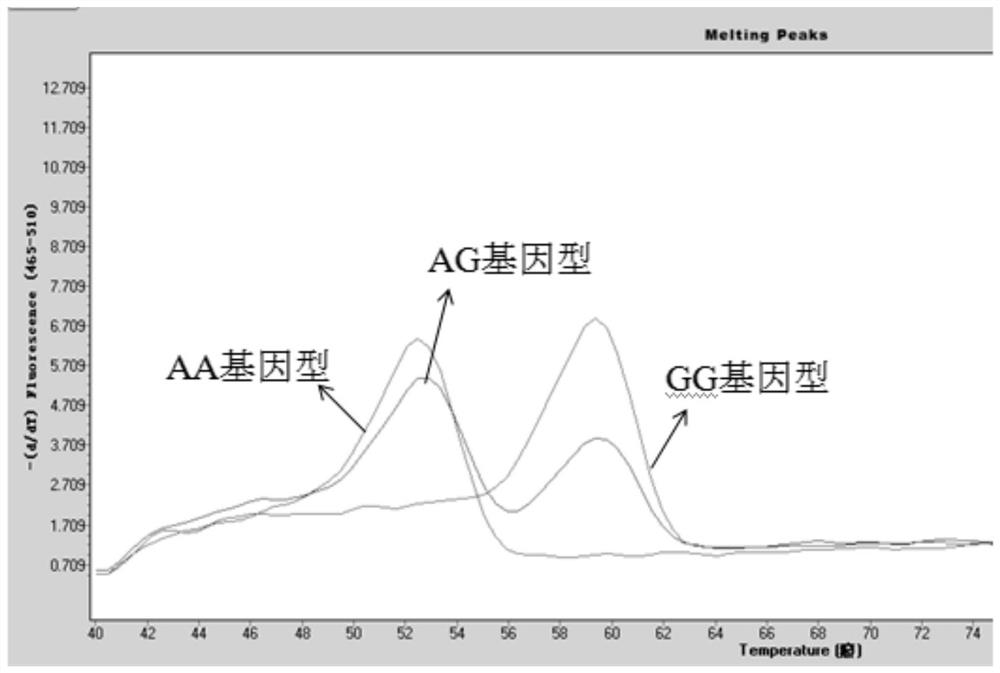 Gene mutation detection kit based on high-resolution melting curve of non-fluorescence labeled probe, detection method and application of gene mutation detection kit