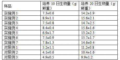 A kind of plant cultivation method of Solanaceae