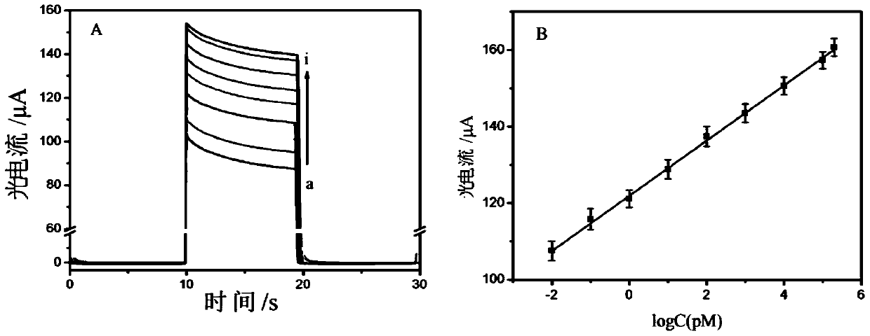 Preparation method and application of photoelectric sensor and working electrode thereof