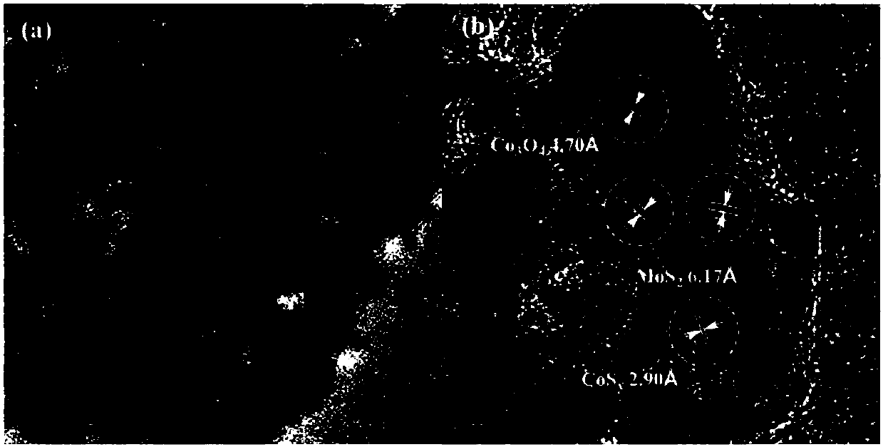 Co-based catalyst, preparation method thereof and application of Co-based catalyst in eugenol conversion