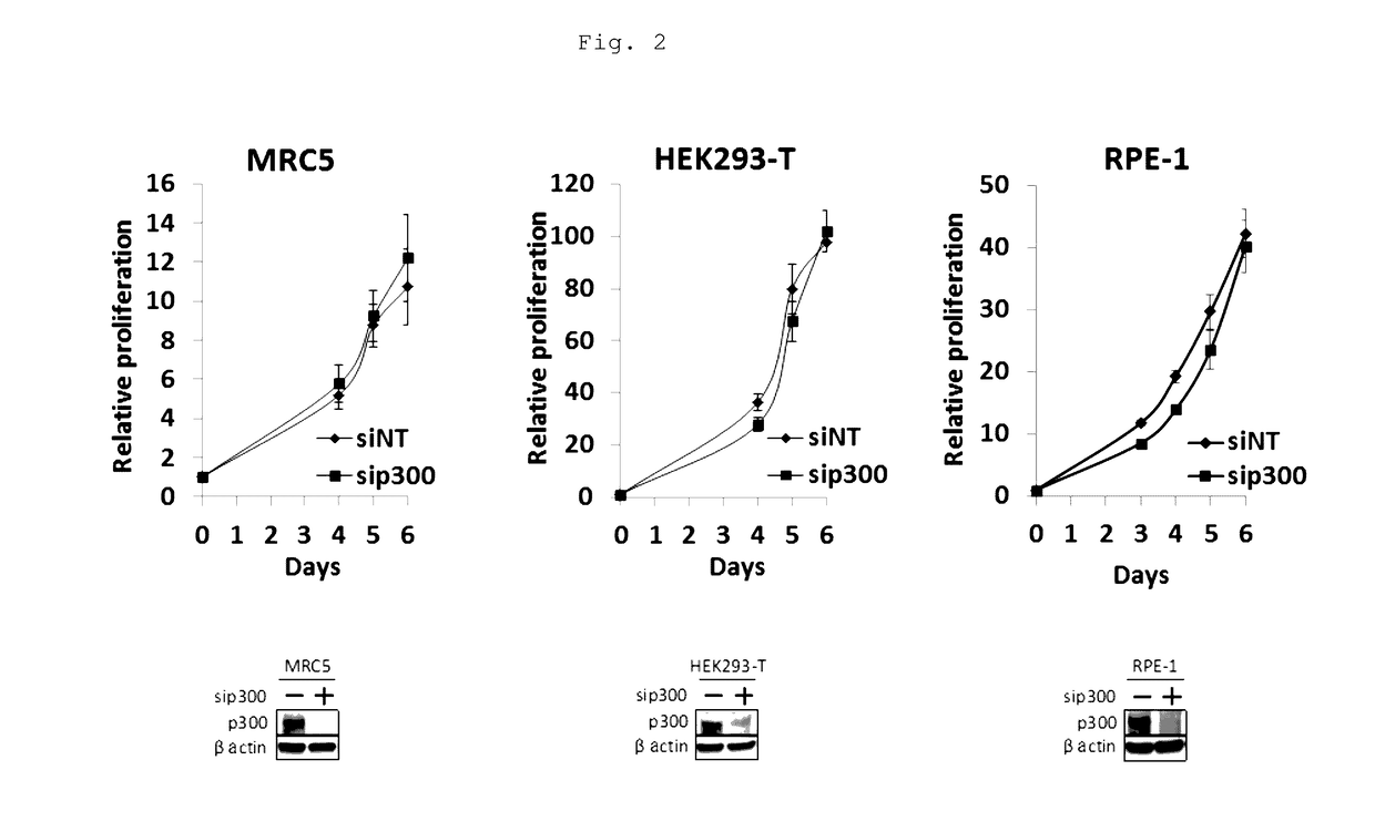 METHOD FOR PREDICTING RESPONSIVENESS TO CANCER TREATMENT USING p300-INHIBITING COMPOUND