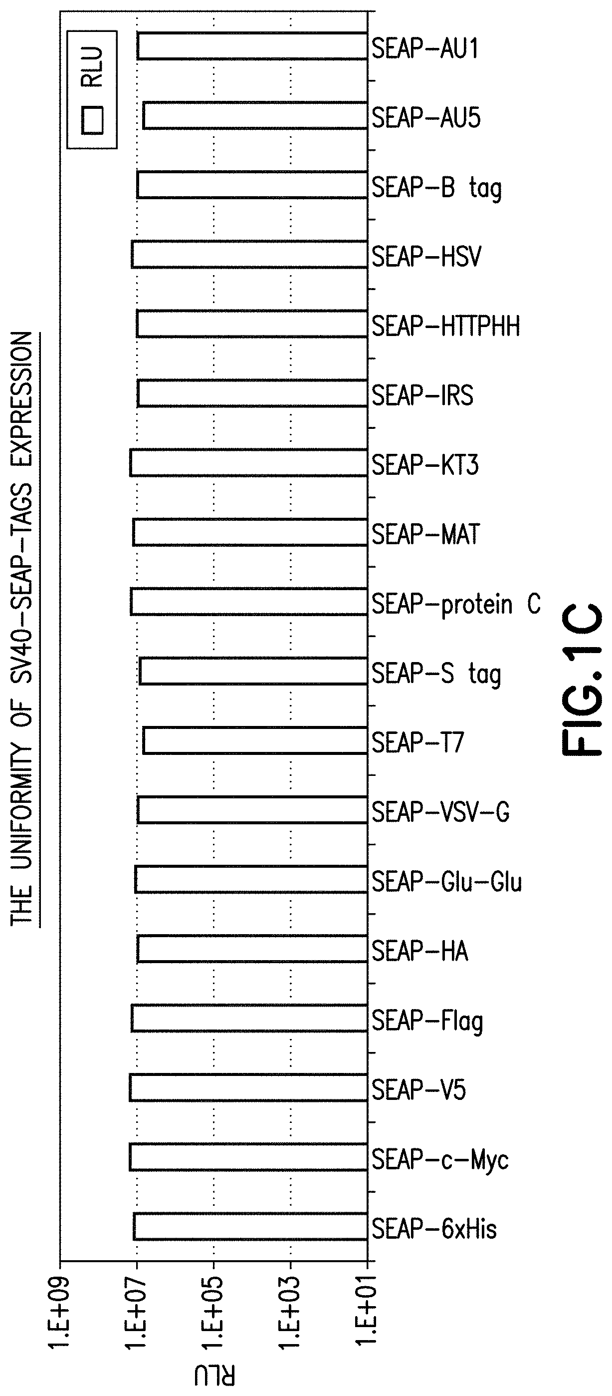 Multiplexing transcription factor reporter protein assay process and system