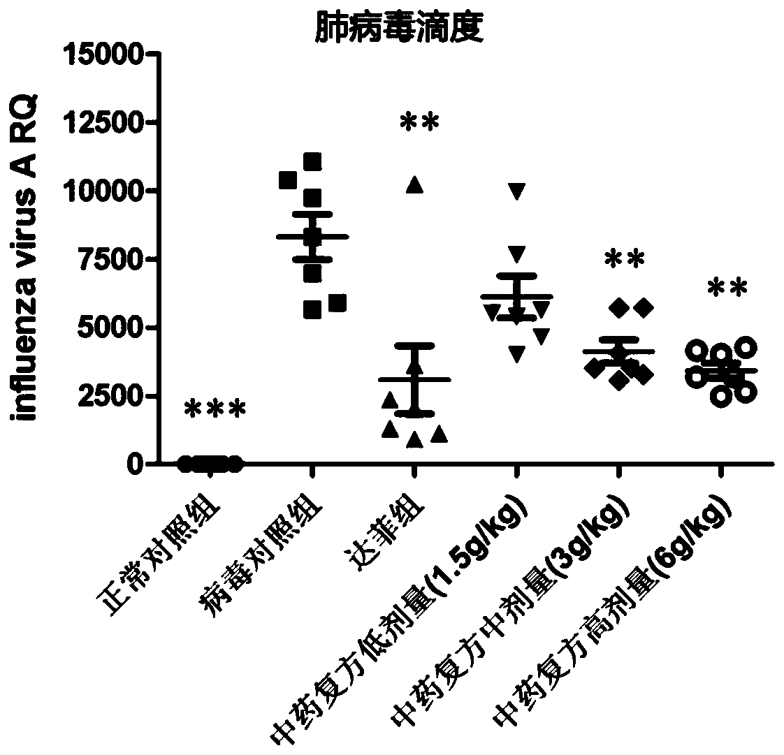 Traditional Chinese medicine composite preparation and preparation method and application thereof