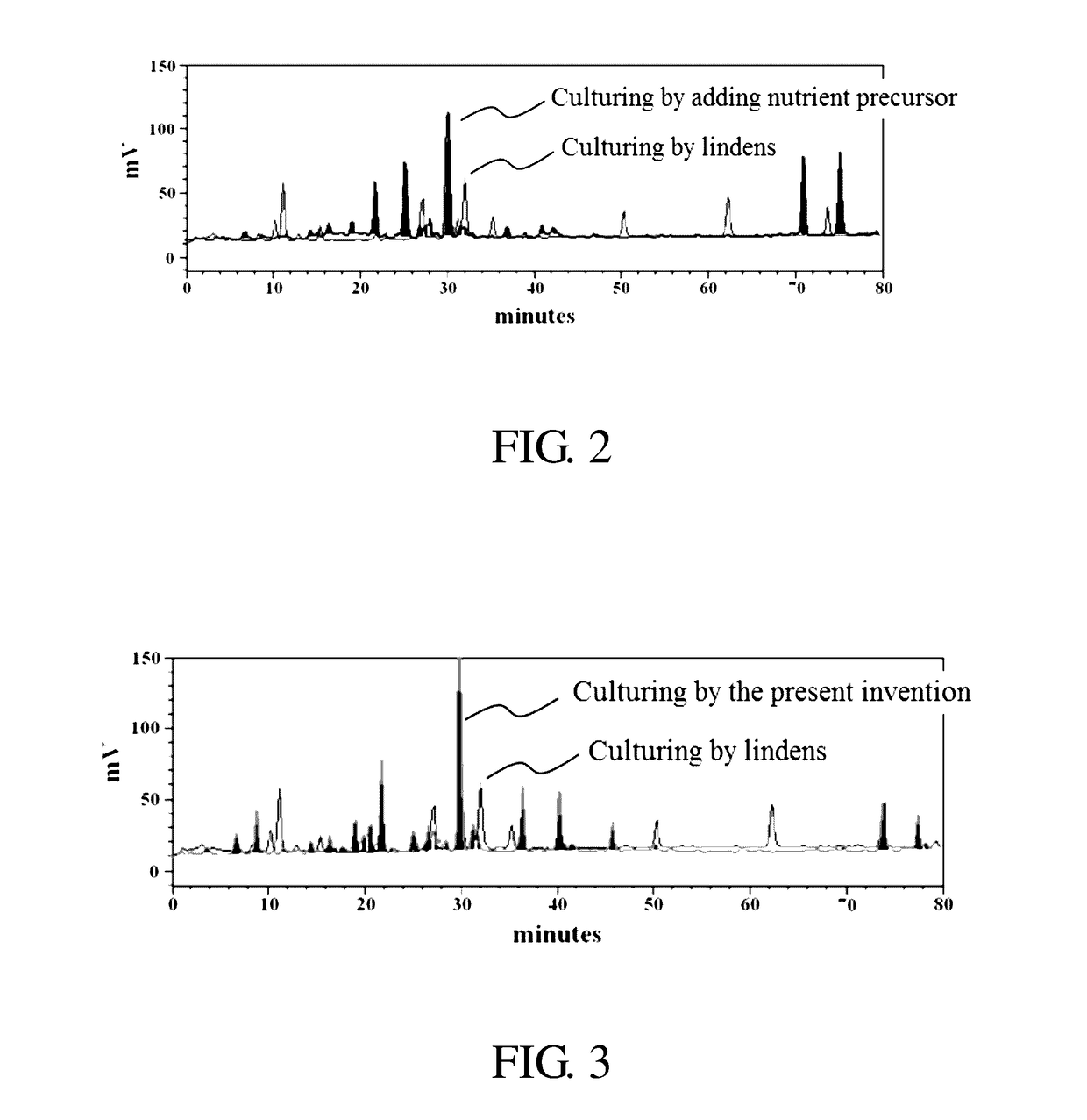 Method of culturing antrodia cinnamomea with high triterpenoids