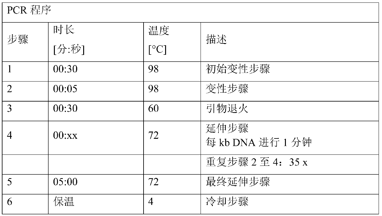 Method for the fermentative production of l-amino acids