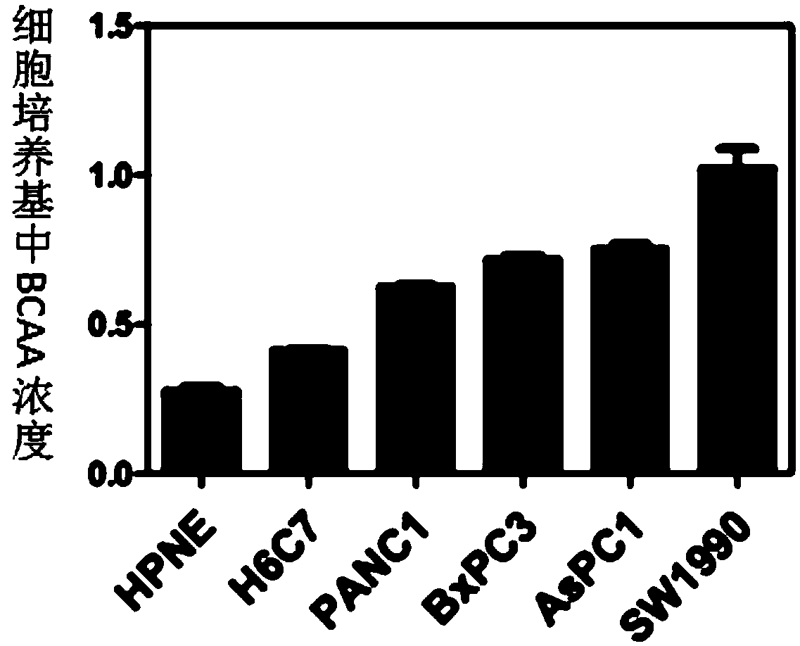 Medical composition for preventing or treating pancreatic cancer and reagent kit for detecting pancreatic cancer