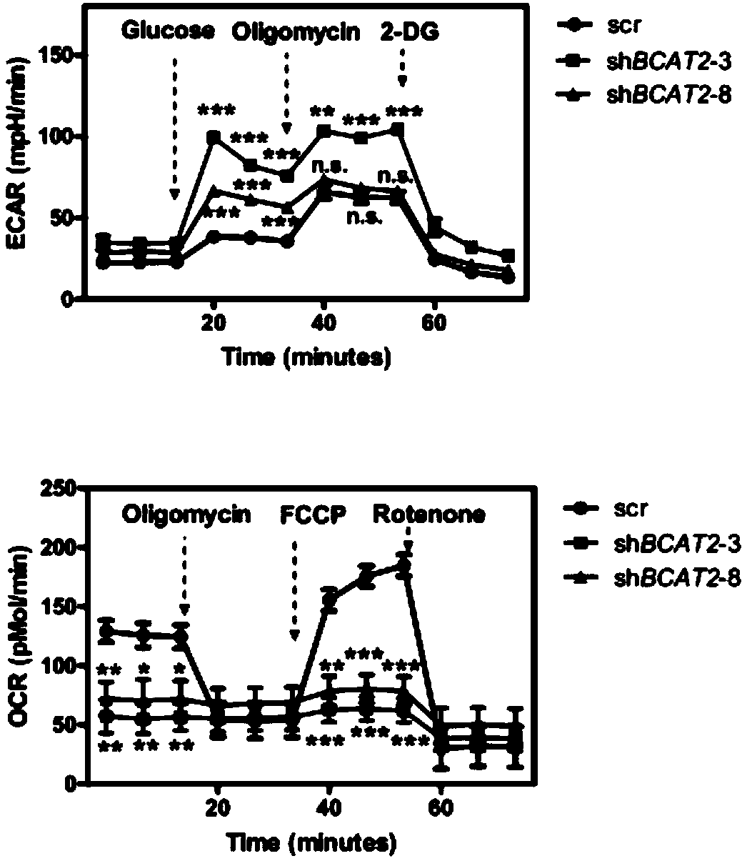 Medical composition for preventing or treating pancreatic cancer and reagent kit for detecting pancreatic cancer