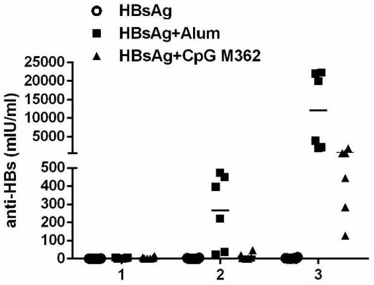 Application of C-type cpg as adjuvant in HBV preventive and therapeutic vaccine and preparation method thereof