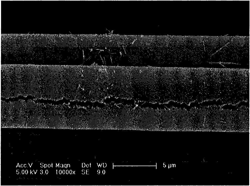 Method for generating silicon carbide coating on surface of carbon fiber