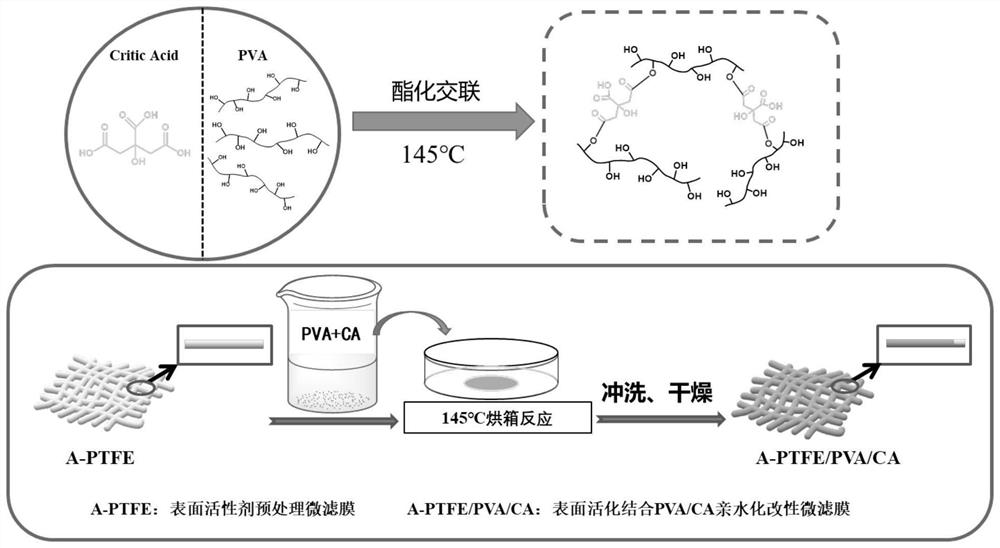 PTFE microfiltration membrane and hydrophilic modification method of PTFE microfiltration membrane