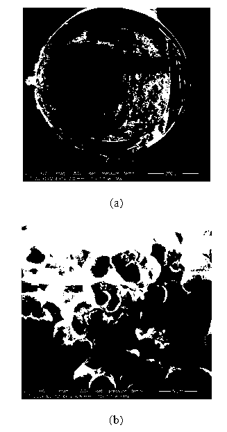 Preparation method for porous monolithic column immobilized enzyme micro-reactor