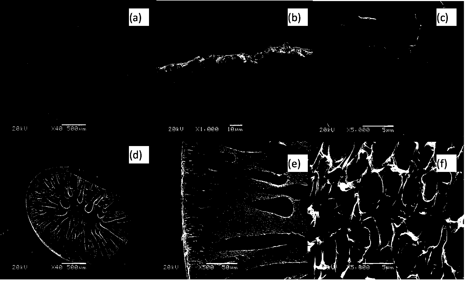 Molecularly imprinted microsphere material based on polymer phase inversion self assembly and application thereof