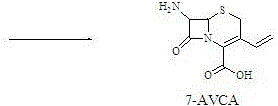7-amino-3-vinyl cephalosporanic acid preparation method