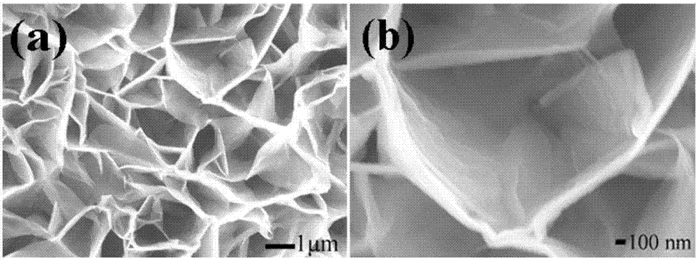 Preparation method of honeycomb-shaped zinc oxide nanowall array