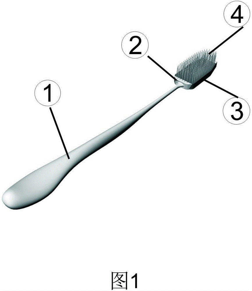 Toothbrush with scattered bristles in single array