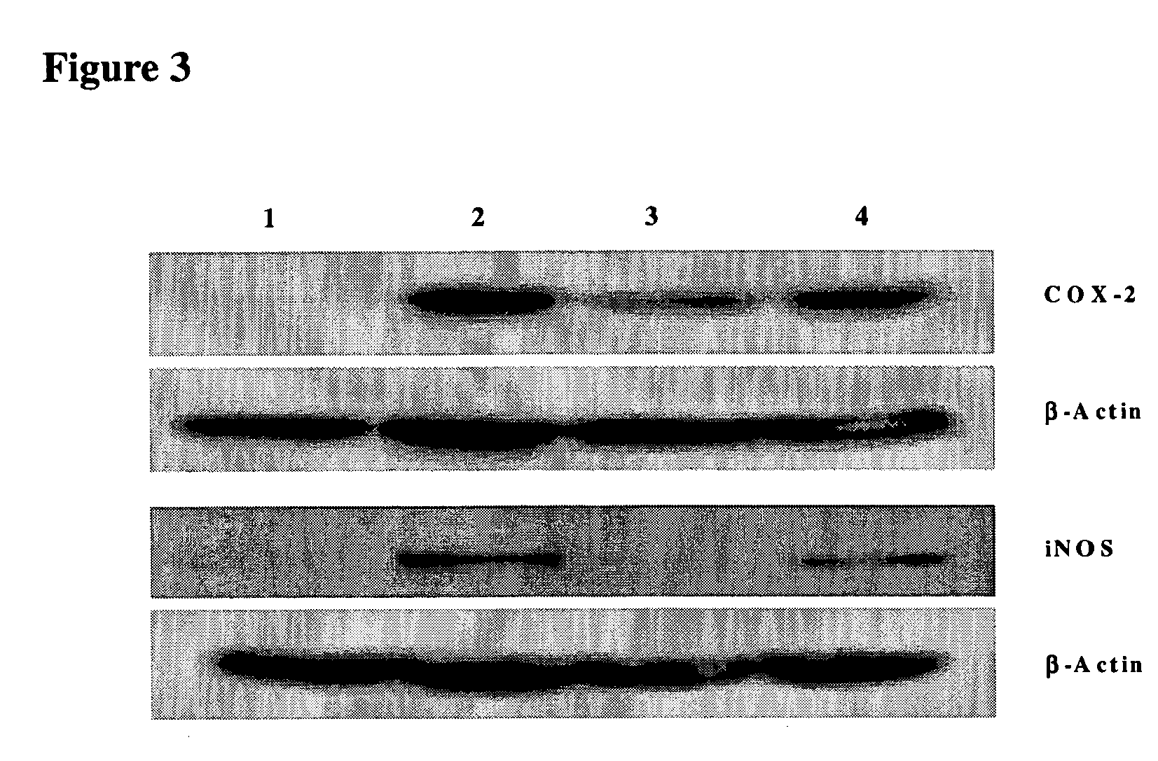 Diarylheptanoid compounds and uses thereof