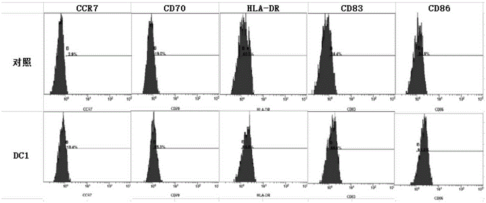 Kit for activating prostatic cancer specific immunity response