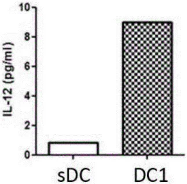 Kit for activating prostatic cancer specific immunity response