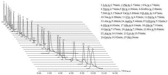 Method for directly detecting amino acid in biological tissue uniform sample by adopting high performance liquid chromatography-tandem mass spectrometry
