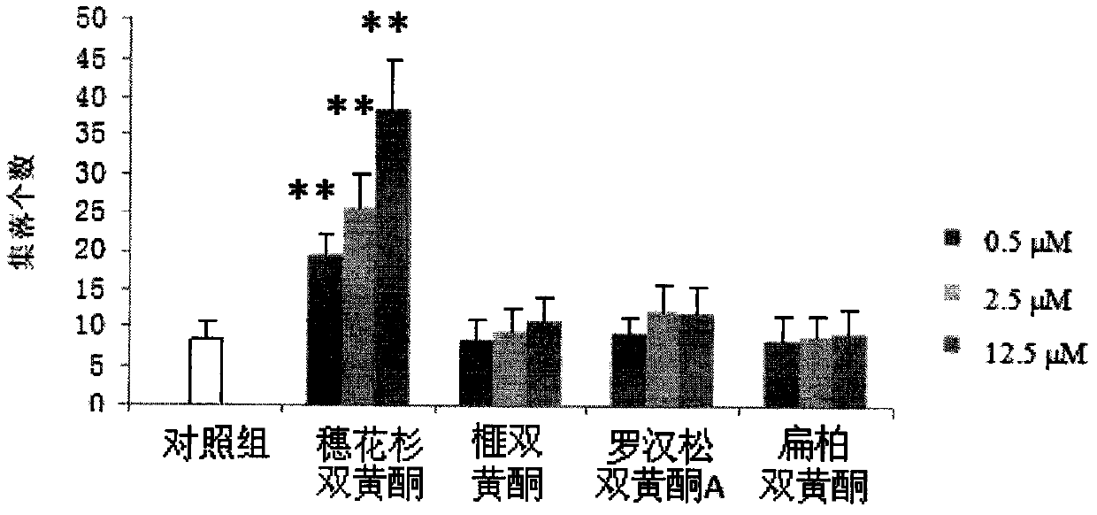 Application of Biflavonoids of Spinyflower in the Preparation of Drugs for Treating Thrombocytopenia