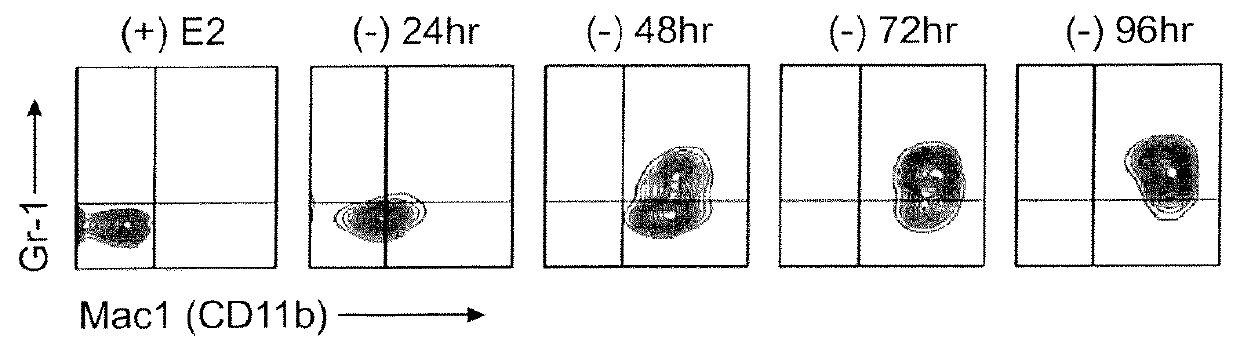 Compounds and methods useful for treating or preventing hematological cancers