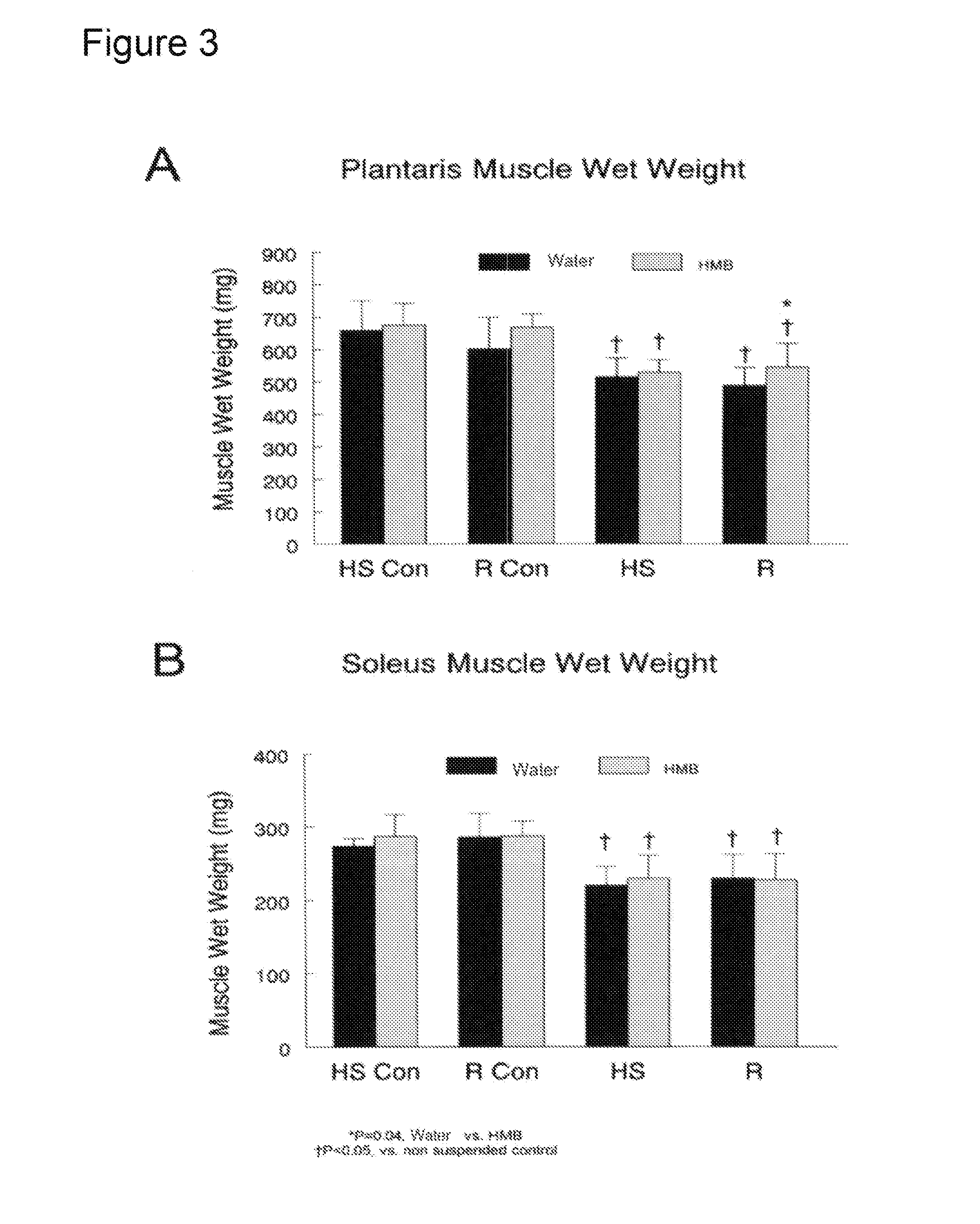 Methods for facilitating muscle recovery after a period of disuse using beta-hydroxy-beta-methylbutyrate