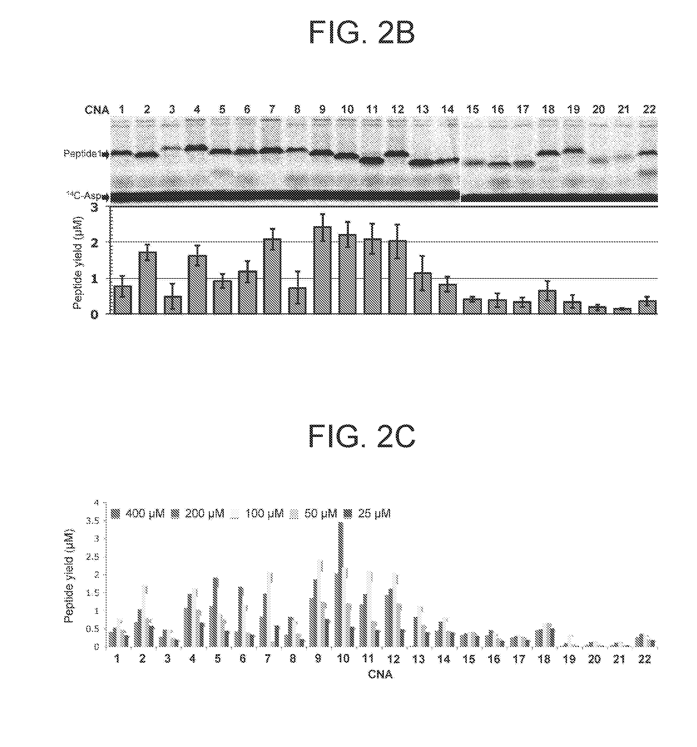 Method for Producing Peptide Library, Peptide Library, and Screening Method
