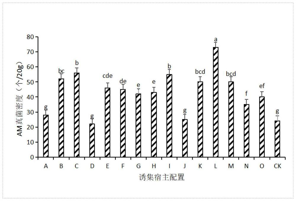 Method for trapping and culturing AM fungi in extremely cold grassland areas