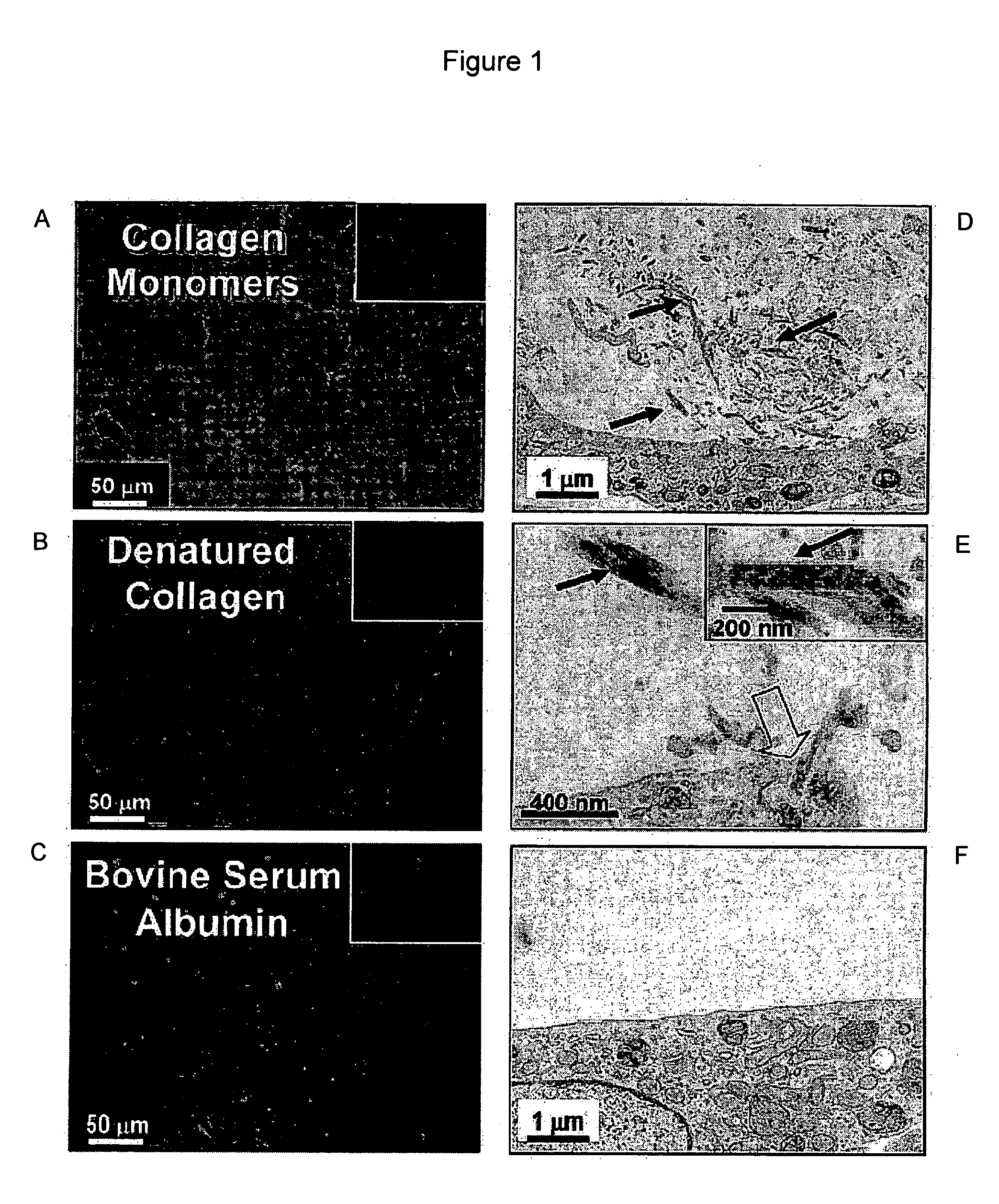 Methods and compositions for the assessment of polymer assembly