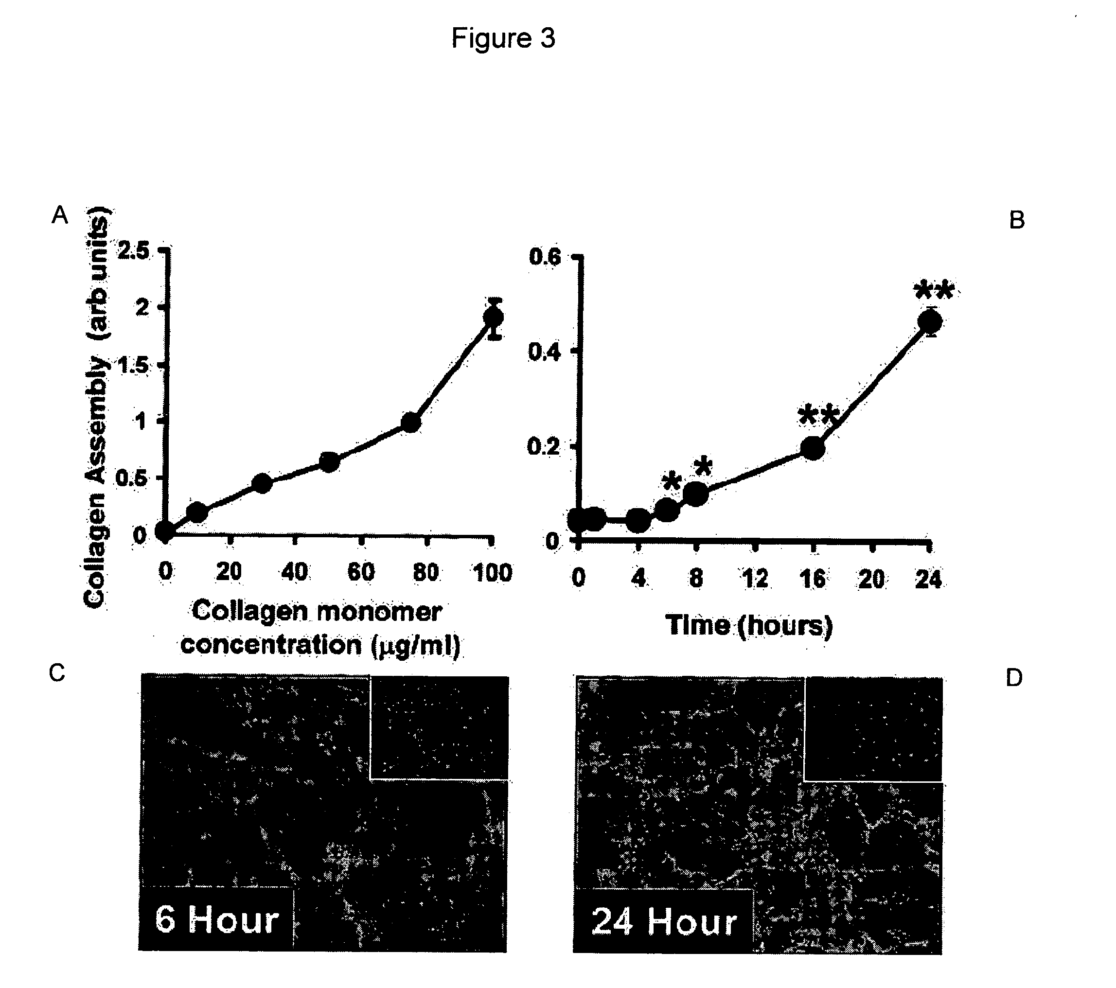 Methods and compositions for the assessment of polymer assembly
