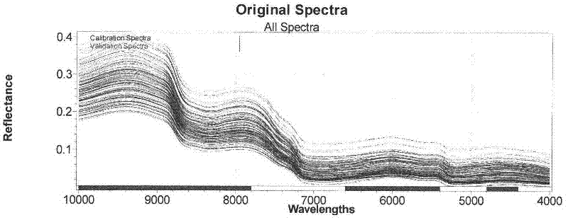 Support vector regression-based near infrared spectroscopy for detecting content of multiple components of fish ball