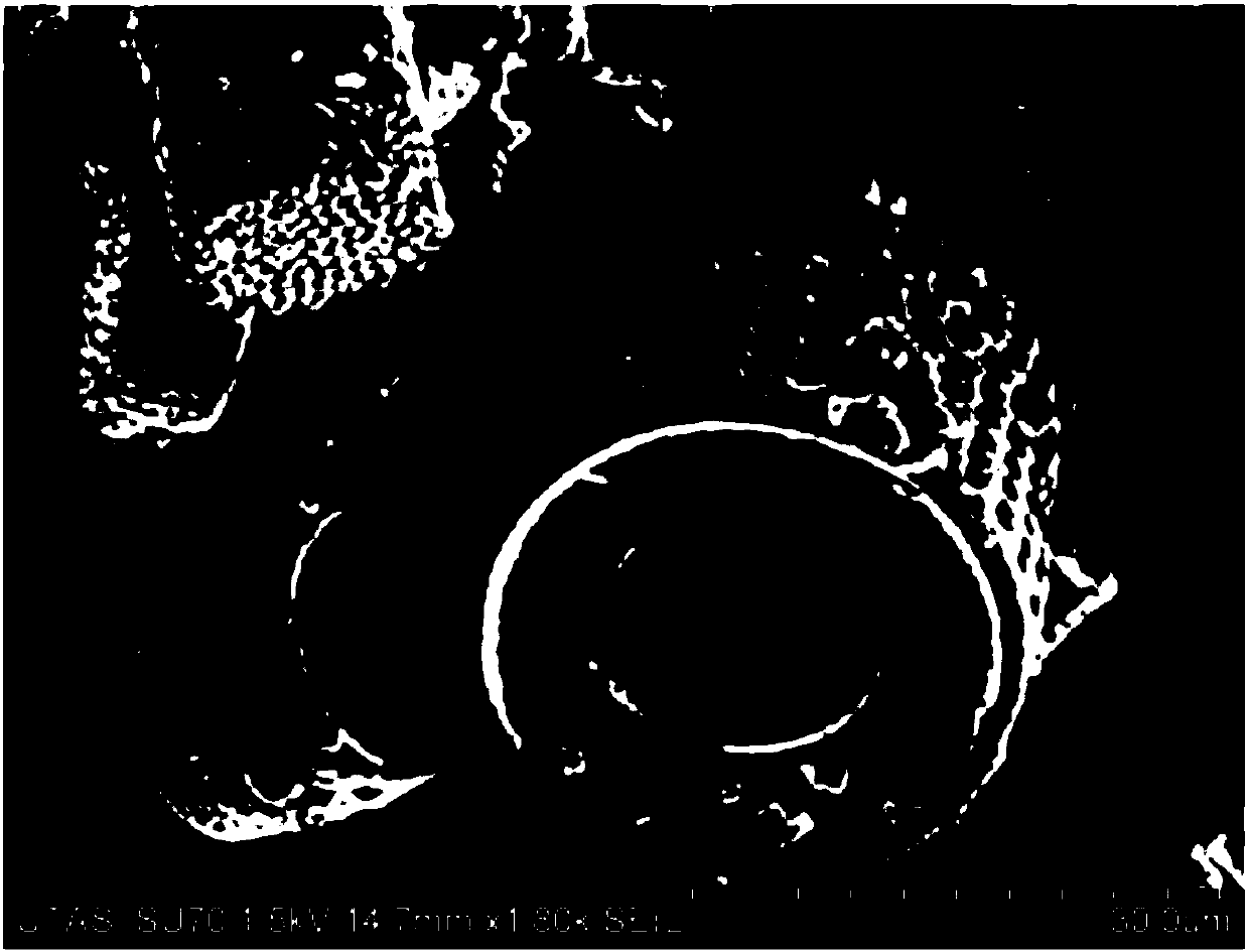 Method for processing roll-coated diatom ooze