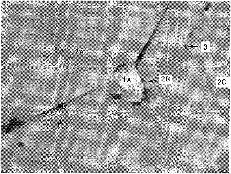 Anisotropic rare earth sintered magnet and making method