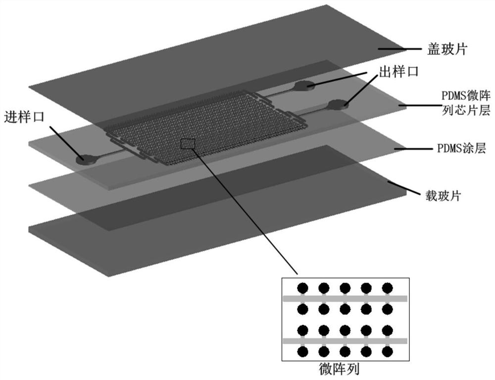 Digital PCR chip and method based on surfactant-modified PDMS