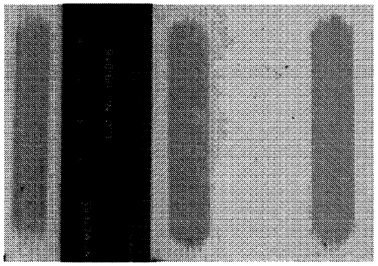 Durable low emissivity window film constructions