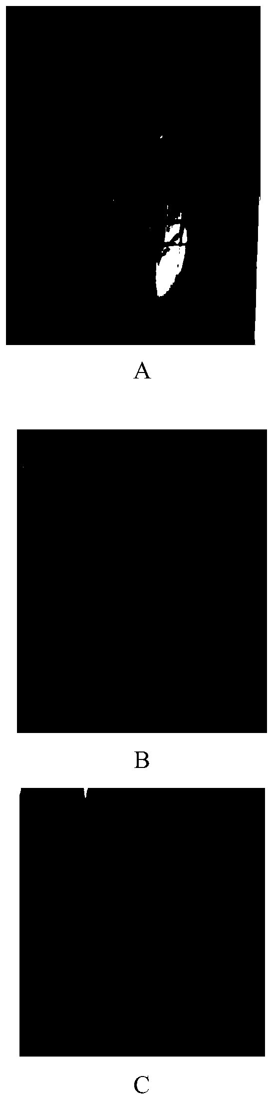 Non-ionic light-cured polyurethane aqueous dispersion resin composition with dominant compatibility as well as preparation method and application thereof