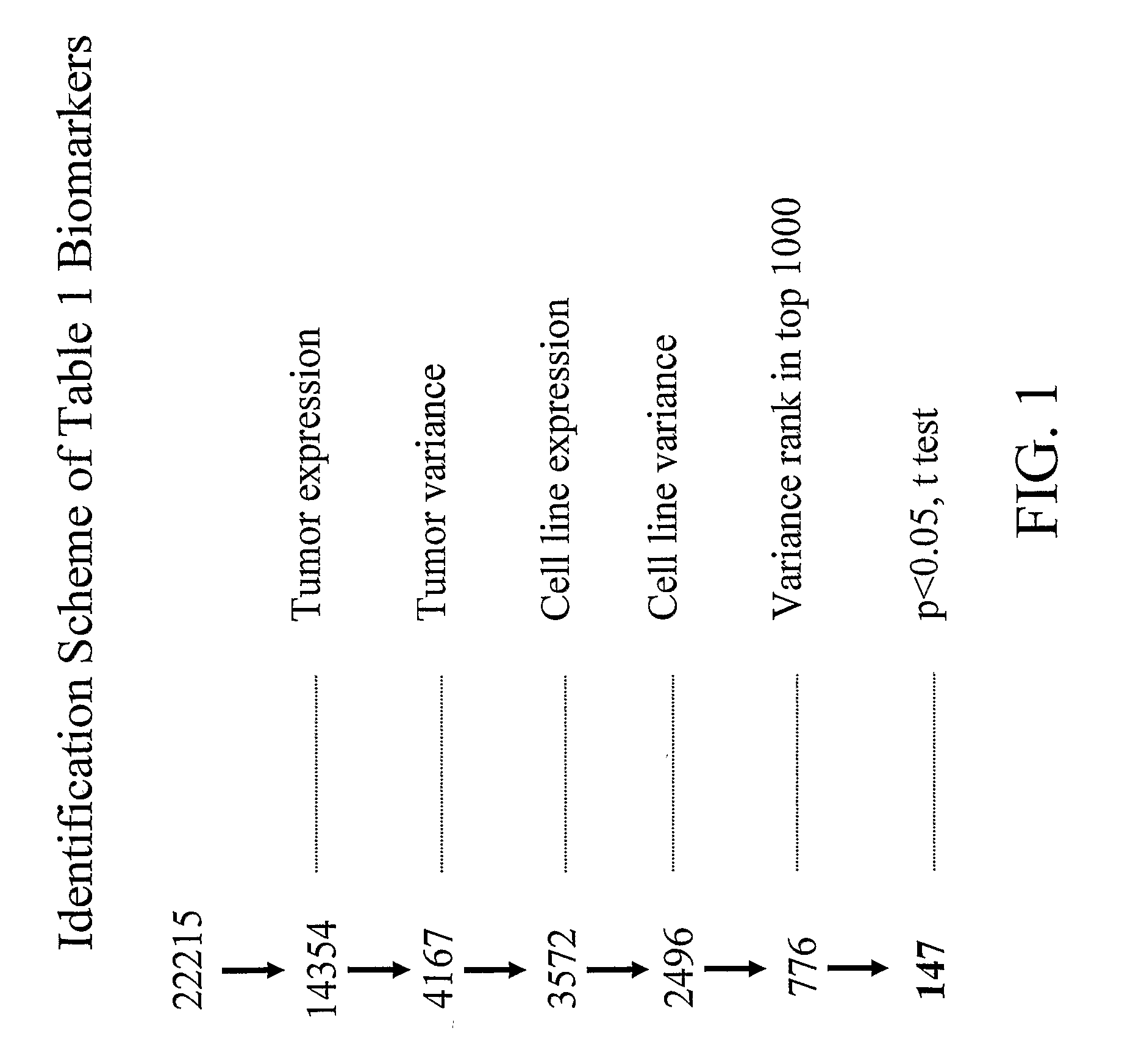 Biomarkers and Methods for Determining Sensitivity to Epidermal Growth Factor Receptor Modulators in Non-Small Cell Lung Cancer