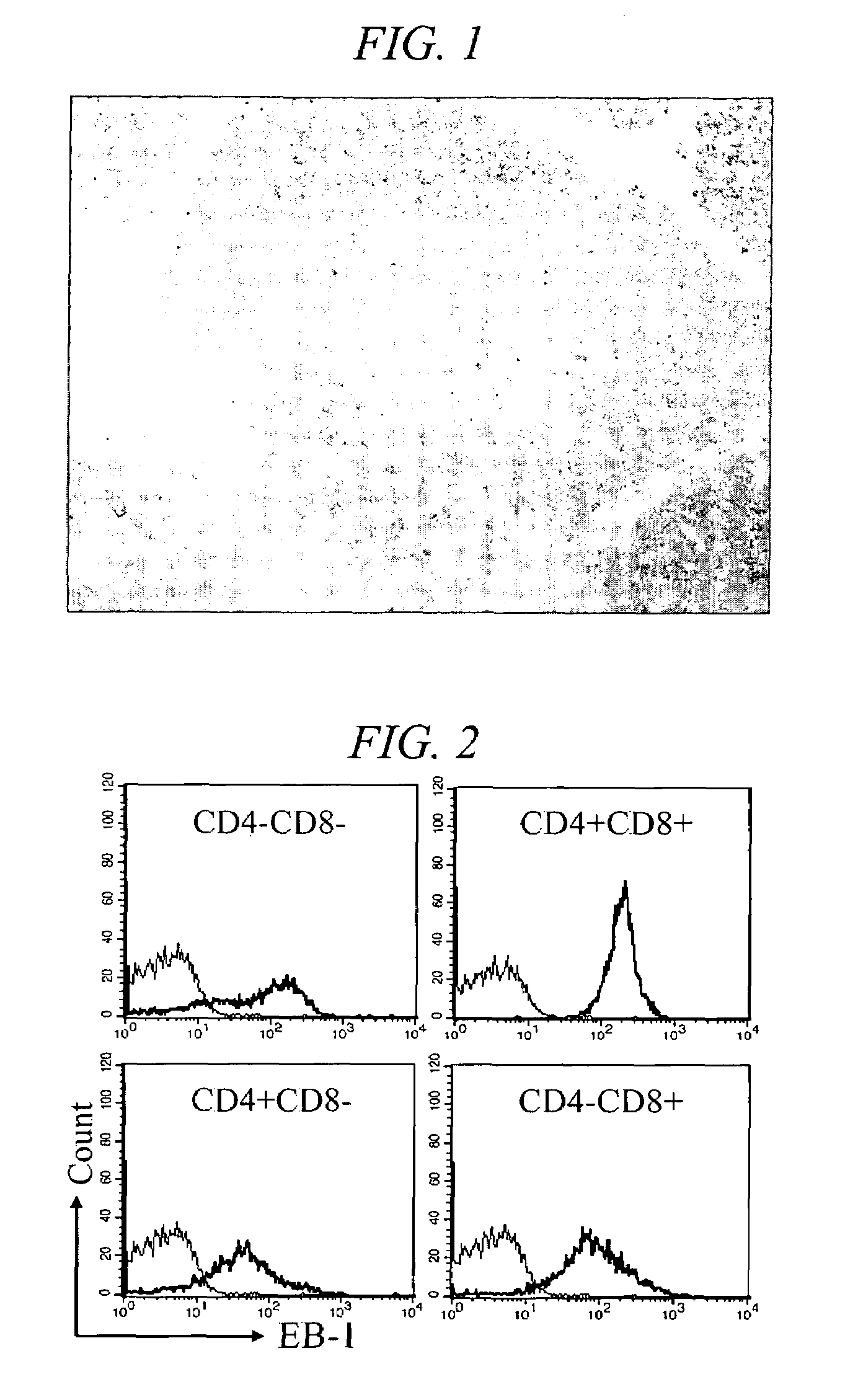 Monoclonal antibody specific for CD43 epitope