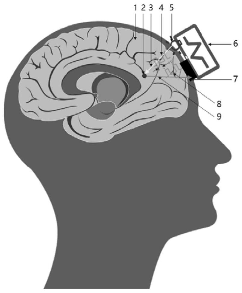 Brain-computer interface system based on direct measurement time-of-flight technology, brain-computer interface wearable device and control method thereof