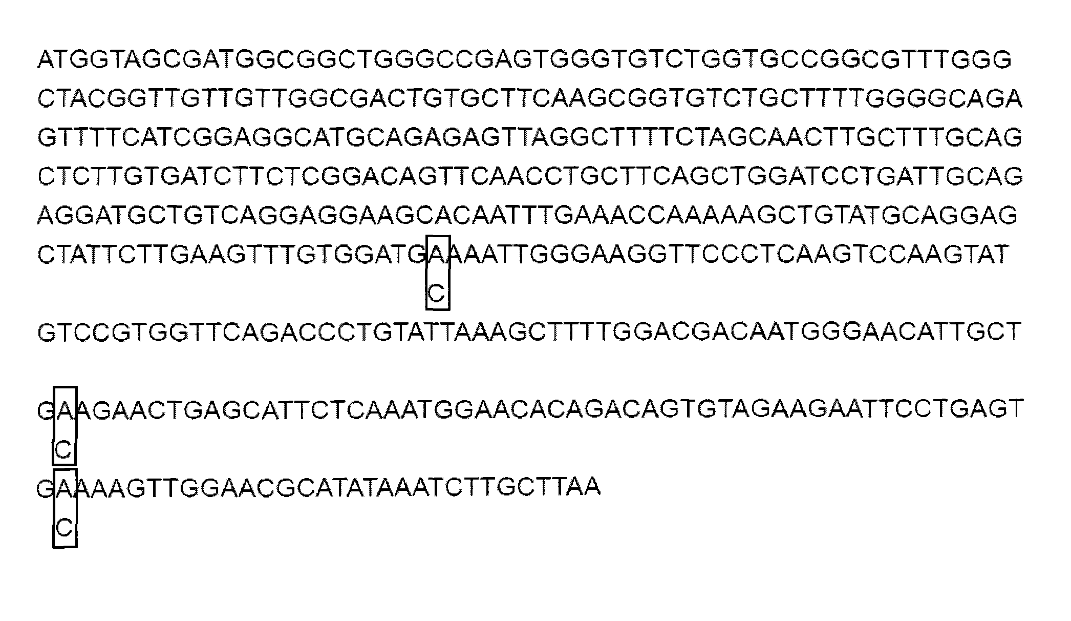 Gene site-directed multi-site mutation method
